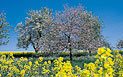 holidays in bavaria