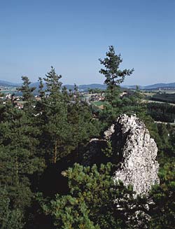 Groer Pfahl Bayerischer Wald