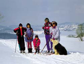 Familie beim Langlauf, Bayerischer Wald