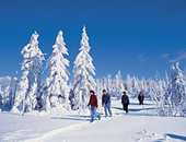 Wanderer in Winterlandschaft, Bayerischer-Wald