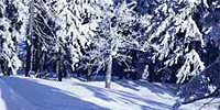 Skigebiet Freyung im Bayerischen Wald