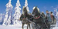Skigebiet Neusch�nau am Nationalpark im Bayerischen Wald
