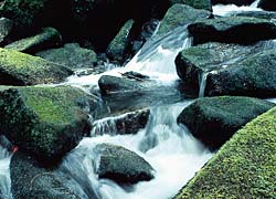 Romantisches Ilztal, Bayerischer Wald