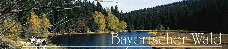 Bayerischer Wald Urlaub in Untergriesbach Land-Vital Wellness in Bayern und und Zum Matthiasl in Bischofsreut