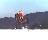Reiturlaub im Bayerischen Wald Pferdehof