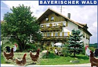 Ferienhof Sommer Bayerischer Wald