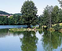 Urlaub im Dreiburgenland Bayerischer Wald. Familienferien am Nationalpark Bayrischer Wald.