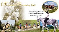 Bayern Urlaub Reiten Bayerischer Wald in Grainet - Bayerischer Wald