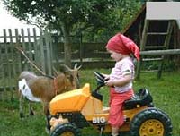 Bayern Urlaub Babybauernh&ouml;fe Bayerischer Wald in Wiesau - Bayerischer Wald