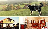 Bayern Urlaub Ferienhaus Am Goldenen Steig in Hinterschmiding - Bayerischer Wald