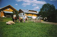 Bayern Urlaub Ferienhaus Degenhart in Mauth - Bayerischer Wald