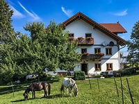 Bayern Urlaub Peterhof Breitenberg in Breitenberg - Bayerischer Wald