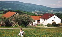 Bayern Urlaub Beim Hansl in Breitenberg - Bayerischer Wald
