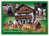 Ferienwohnung, Gruppenreisen Bayern Urlaub Ferienhof Neukirchinger in Tiefenbach im Bayerischen Wald / B�hmerwald