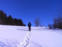 Mit Schneeschuhen auf dem Kirchensteig