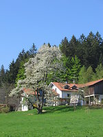 Wander - Wohlfühlwochenende