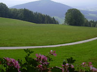 Wandern auf dem Goldsteig 2012