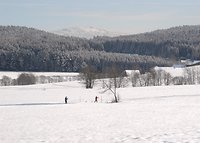 Auf die Bretter, fertig, los!  -Langlaufwoche-