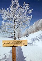 Ilztal - Kennenlernangebot