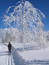 Winter - jetzt den Schnee buchen!