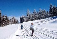 FEWO-Wintertraum =385- 420 Eur/7 Tg/4 Pers.
