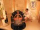 Wellness Schnuppertage