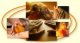 Wochenend-Pauschale mit Massage im Bayerwald