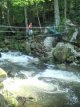  3 Tage Wildbach-Schlucht-Romantik