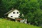 Steininger Hof