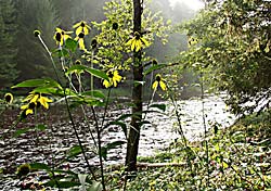 Gunthersteig Bayerischer Wald