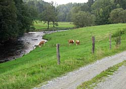 Wanderweg nach Ellersdorf, Perlesreut im Bayerischen Wald