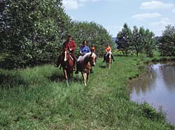 Reiterferien im Bayerwald am Nationalpark Bayerischer Wald