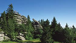 Dreisessel Bayerischer Wald