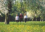 Wanderer im Oberpflzer Wald, Bayern